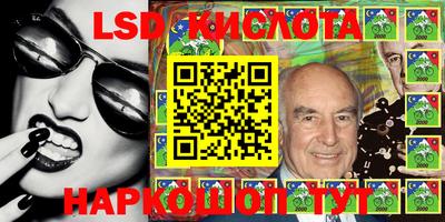 прущие грибы Новодвинск