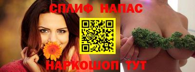 прущие грибы Новодвинск
