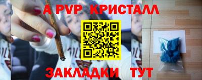 прущие грибы Новодвинск